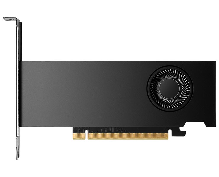 PNY Nvidia RTX 2000 ADA Generation / PCI-E / 16 GB GDDR6 ECC / 4x mini DP / HDCP