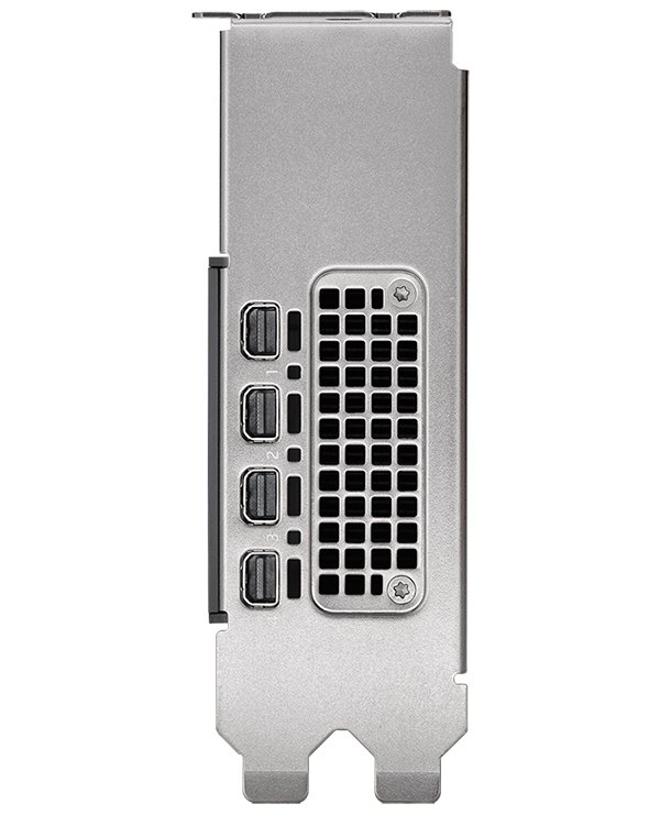 PNY Nvidia RTX 2000 ADA Generation / PCI-E / 16 GB GDDR6 ECC / 4x mini DP / HDCP