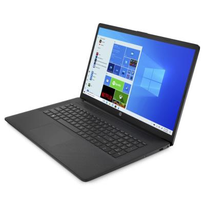 HP 17-cp0010nc/ Ryzen 5 5500U/ 8GB DDR4/ 512GB SSD/ AMD Integrated Graphics 17,3"FHD,matný/ W11H/ černý
