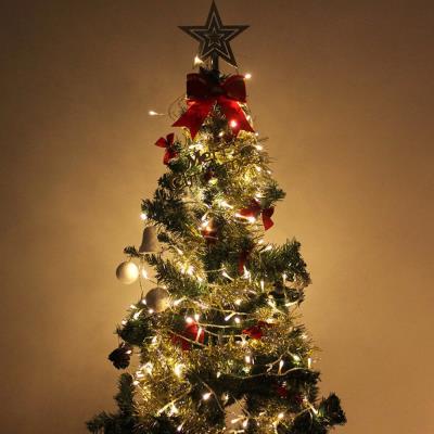 COLORWAY LED řetěz/ vnitřní / 100 LED / délka 10m / teplá bílá/ 8 funkcí/ napájení USB