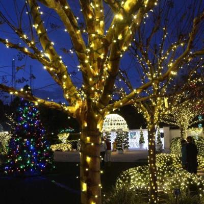 COLORWAY LED řetěz/ IP65 / 100 LED / délka 10m / teplá bílá/ napájení AC, 220V, 6W