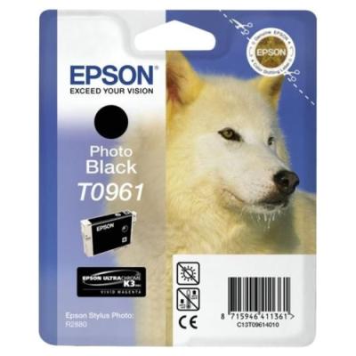 Epson inkoustová náplň/ C13T09614010/ Stylus 2880/ Foto