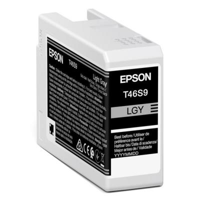 Epson inkoustová nápln Singlepack UltraChrome/ C13T46S900/ Light Gray