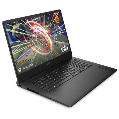 HP OMEN 17-db0001nc/ Ryzen 5 8645HS/ 32GB DDR5/ 1TB SSD/ RTX 4060 8GB/ 17,3"FHD,matný/ W11H/ černý