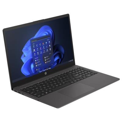 HP 250 G10/ i5-1335U/ 8GB DDR4/ 512GB SSD/ Intel Iris Xe/ 15,6"FHD,matný/ W11H/ šedý